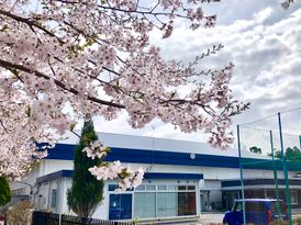 大洗町ビーチテニスクラブ
