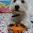 Dollyの写真