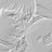 Aki.Tの写真