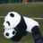 Panda(o^-')bの写真