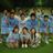 F.C.SOSAの写真