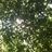 Futureの写真