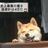 なかつんの写真