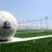 Z FUTSAL SPORT 南船橋の写真