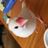 GoldenWasabi_9の写真