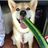 美保の写真
