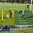 Walex (TFG) ⚽️🏃🏾‍♂️の写真