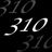 310の写真