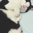 うめの写真