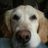 ビールばんざい！の写真