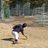 shohei17の写真