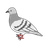 りょうへいの写真