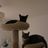 Kさんの写真