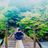 nomuraの写真