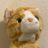 takayukiの写真