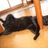gaoの写真