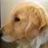 MAXの写真