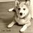 Teidaの写真