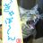 Ｔ－とと＠特攻隊長☆の写真