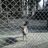 hammerv8の写真
